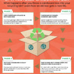 life-cycle-of-a-cardboard-box-infographic-madison-wisconsin