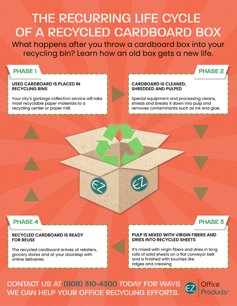 life-cycle-of-a-cardboard-box-infographic-madison-wisconsin