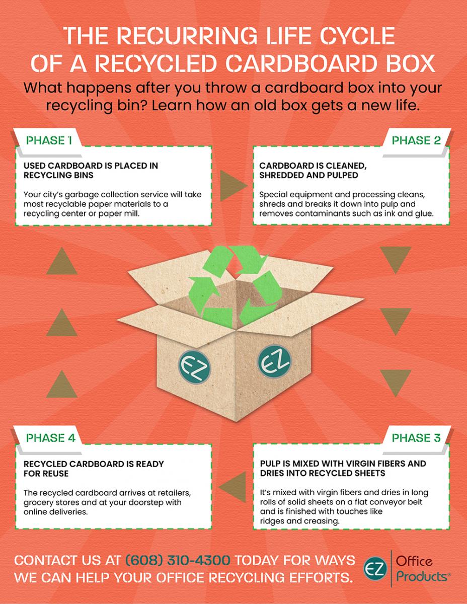 Discover the life cycle of a cardboard box with this infographic.