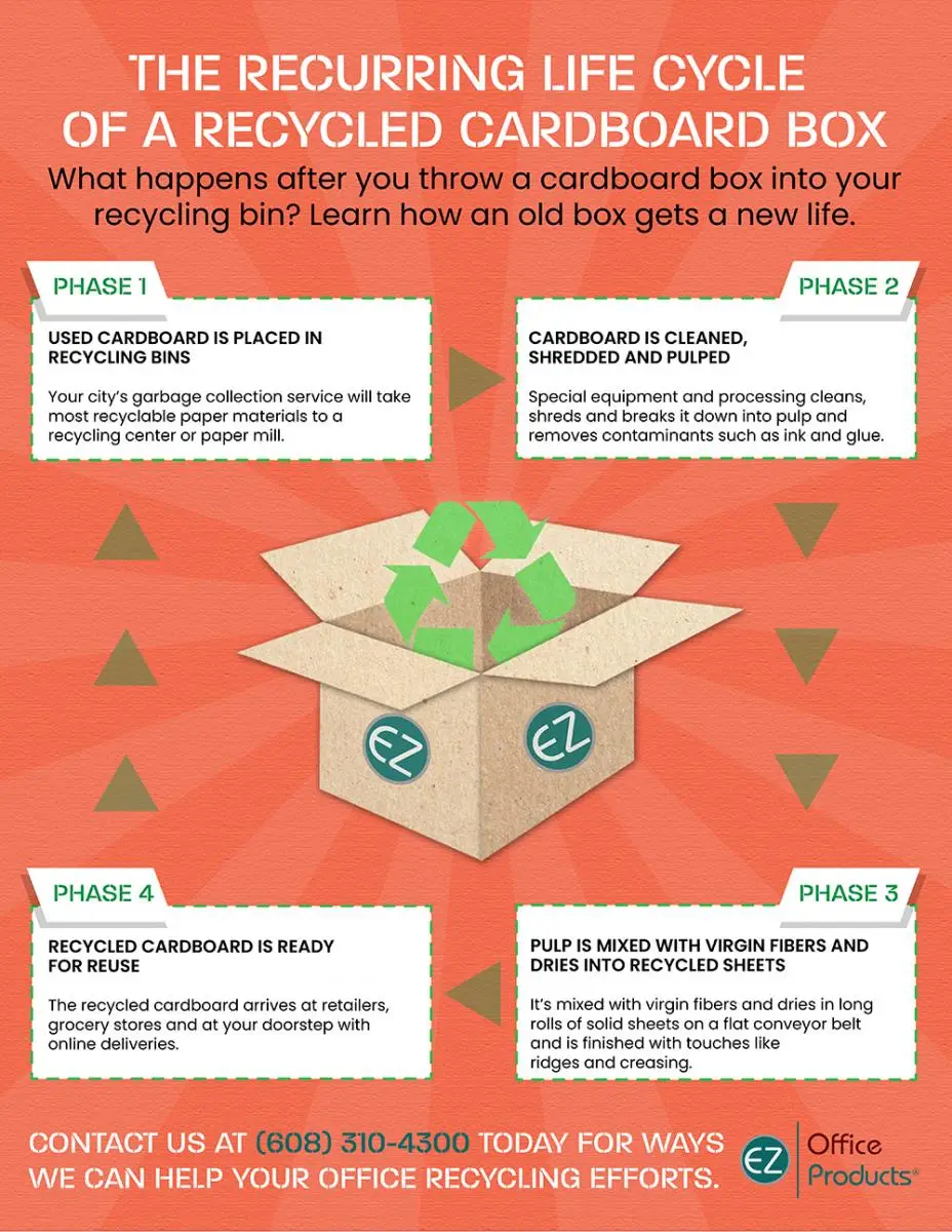 Discover the life cycle of a cardboard box with this infographic.
