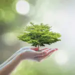 environmentally-sustainable-business-practices-madison-wisconsin