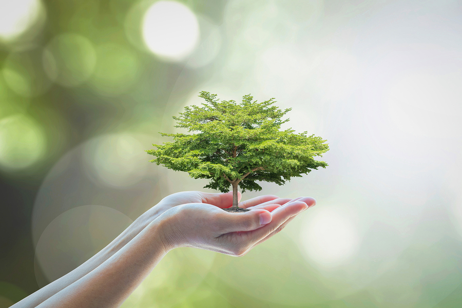 Honor Mother Earth with these easy-to-implement environmentally sustainable business practices.