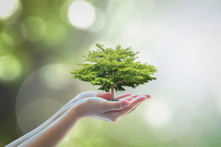 Honor Mother Earth with these easy-to-implement environmentally sustainable business practices.