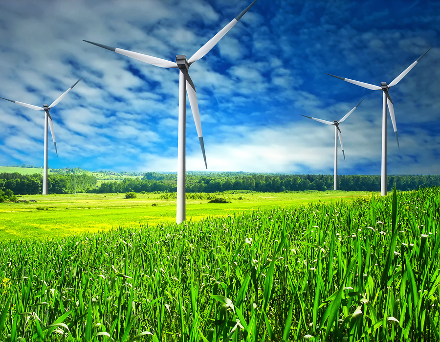 Build a more sustainable future with one of these types of renewable energy sources for business. 