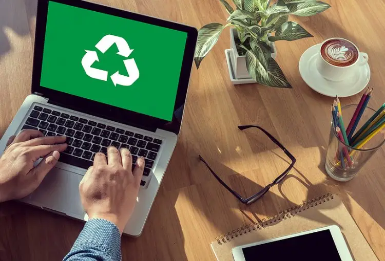 Find out how to be an eco-friendly business with advice from our 15 years of experience doing it.
